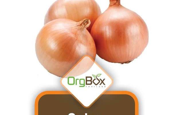 Кракен сайт официальный onion