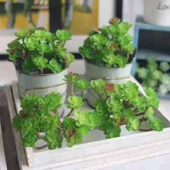 Искусственные Сочные Пластиковые Имитационные растения, не увядающие Микро-Ландшафтные украшения для дома, гостиной, украшения из зелени
