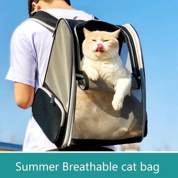 Летняя дышащая сумка для кошек, выходящая на улицу, портативная сумка для домашних животных, рюкзак для кошек с двойным плечом, школьная сумка для собак, сумка для кошек